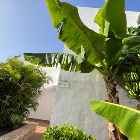 Apartament Malibu Blue Costa Adeje  Eksteriør billede