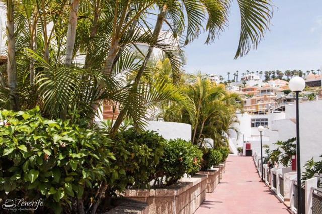 Apartament Malibu Blue Costa Adeje  Eksteriør billede