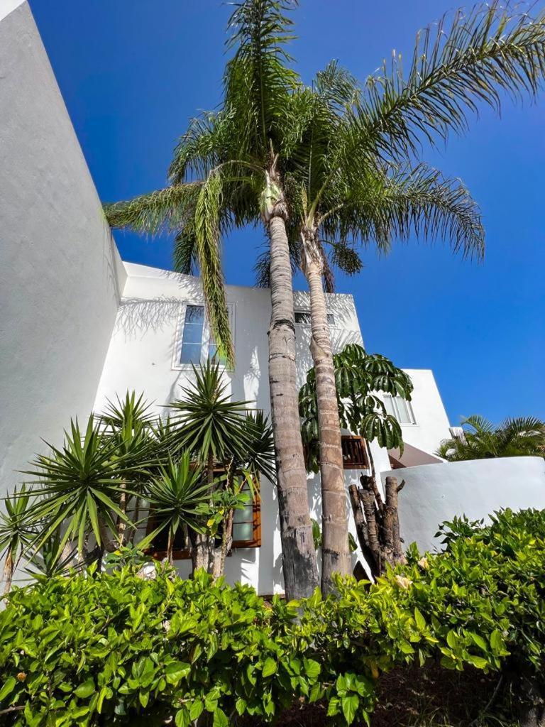 Apartament Malibu Blue Costa Adeje  Eksteriør billede