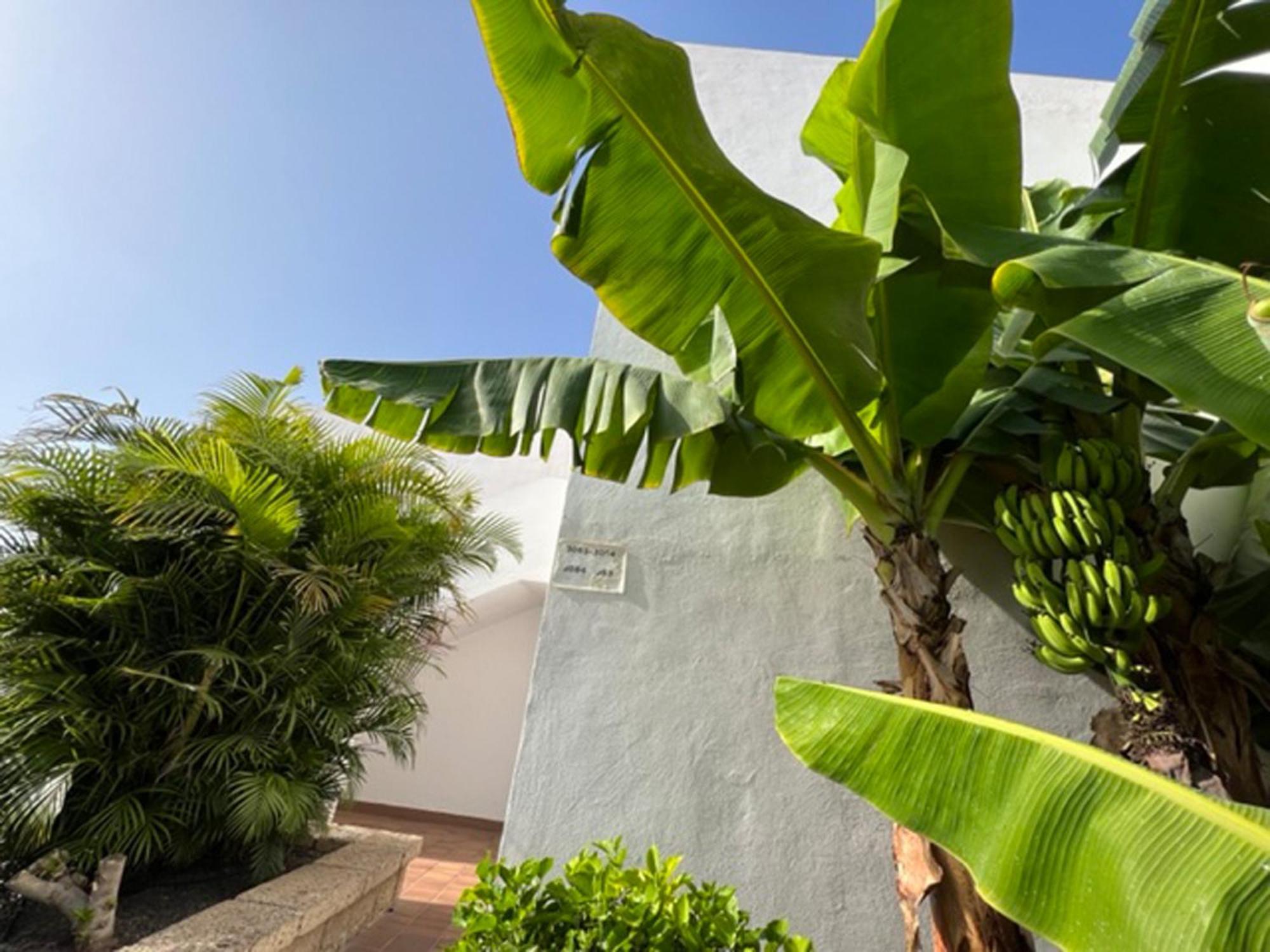 Apartament Malibu Blue Costa Adeje  Eksteriør billede